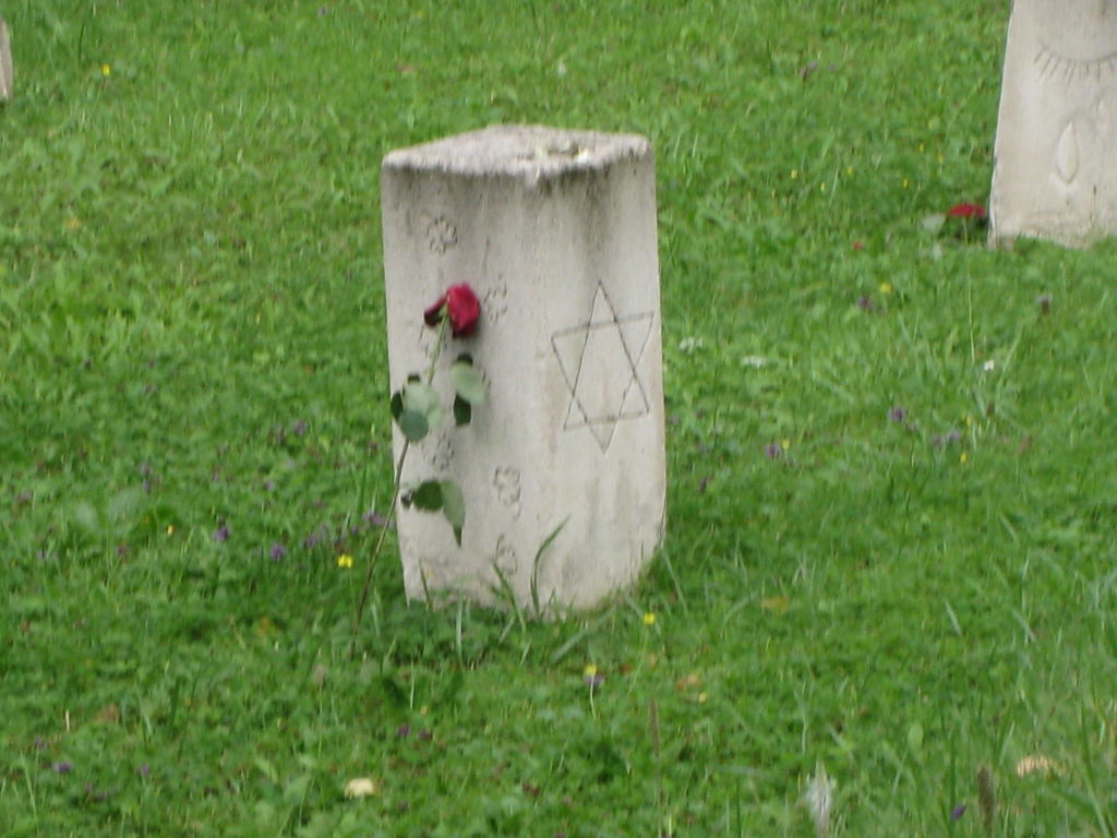 blauer Ordner mit Aufschrift Sozialrecht